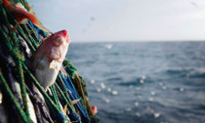 fishing discard eu haddock scotland atlantic