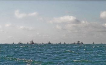 photo showing dozens of scallop boats fishing off the Manx coast