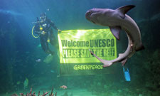 Greenpeace banner urging UNESCO to save the Great Barrier Reef, at the Sydney Aquarium, Australia