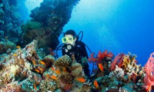 Young teenage woman diver exploring coral reef