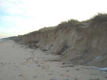 image of dune erosion at Scratby