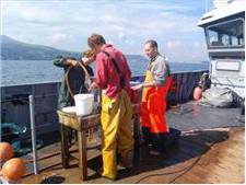 DEFA officers surveying Ramsey Bay from the fpv Barrule, sorting seabed samples