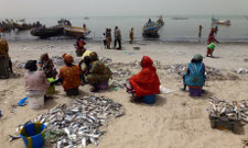 MDG : local fishing community on West Coast of Africa, in Senegal and Mauritania