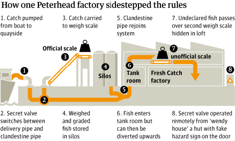 Black fish factory graphic How one Peterhead factory sidestepped the rules. Source: Guardian graphics