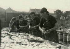 Gutting herring at Denmark Road, Lowestoft, in the 1920s