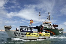 A local fishermen flotilla accompanies the Arctic Sunrise on its arrival in Denia, Spain. 
