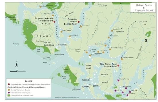 Is fish farming sustainable2