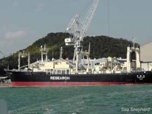 Nisshin Maru being repaired in port Photo: Sea Shepherd