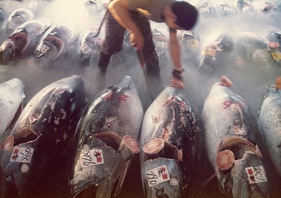 The Black Fish shifts